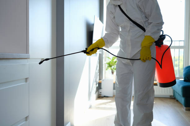 Best Emergency Mold Remediation in Seneca, KS