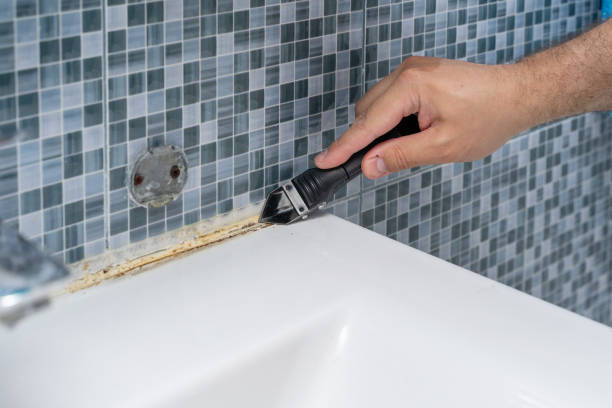 Best Basement Mold Remediation in Seneca, KS